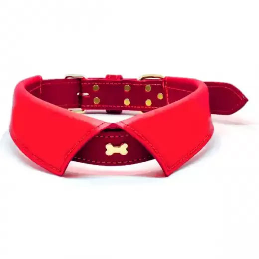Premium Adjustable Dog Collar