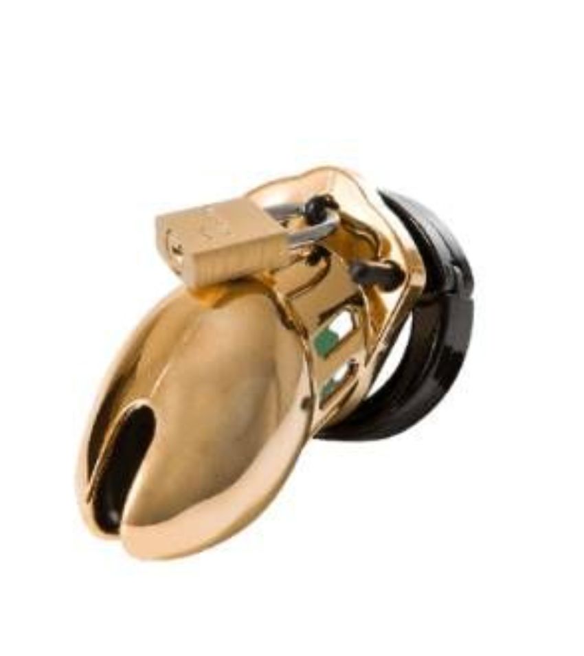 CB X CB 6000 Male Chastity Device