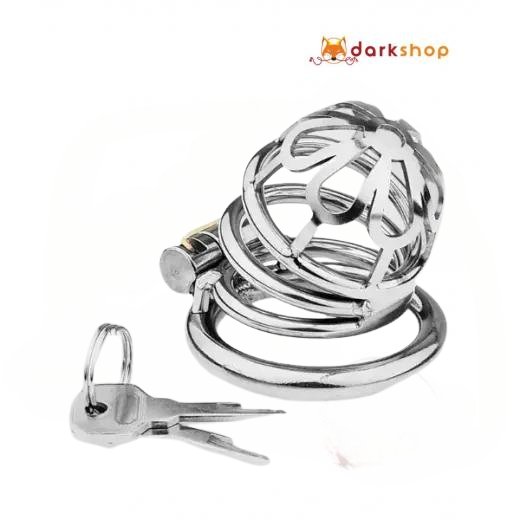 Chastity Cage Sexual Stimulation Couple Sex Lock Private Bondage Stainless Steel