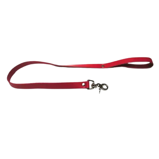 Collar with Leash Fetish BDSM Dog Slave