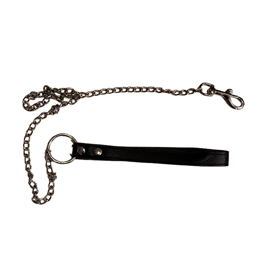 Pu Leather Collar and Chain Leash Set