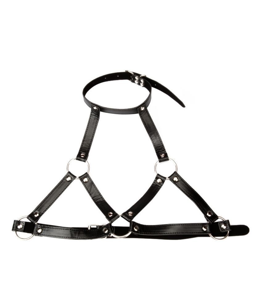 Nipple Clamps With Slave Collar Restraints