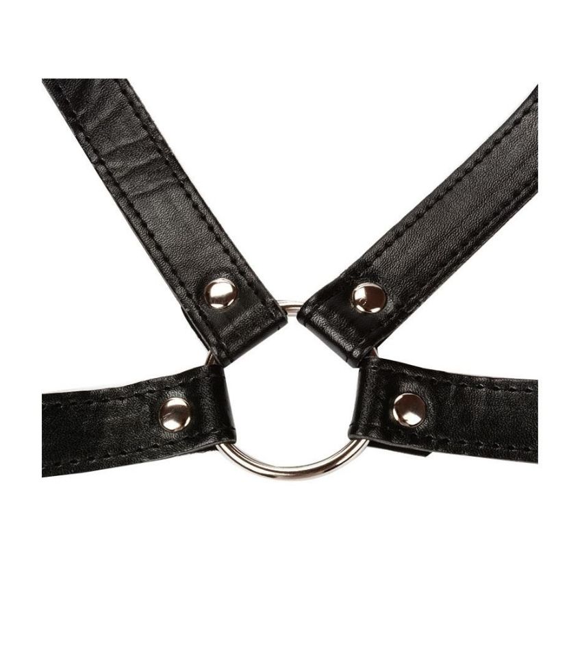 Restraints Nipple Clamps Slave Collar Fetish