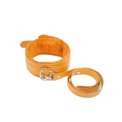 Yellow Collar with Leash Fetish Bdsm Dog Slave