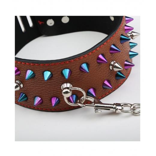 Bdsm Neck Coller With Spikes