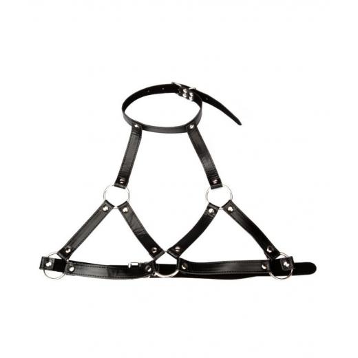 Nipple Clamps With Slave Collar Restraints