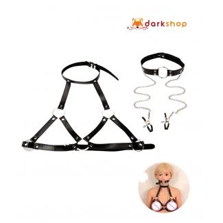 Nipple Clamps With Slave Collar Restraints