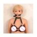 Nipple Clamps With Slave Collar Restraints